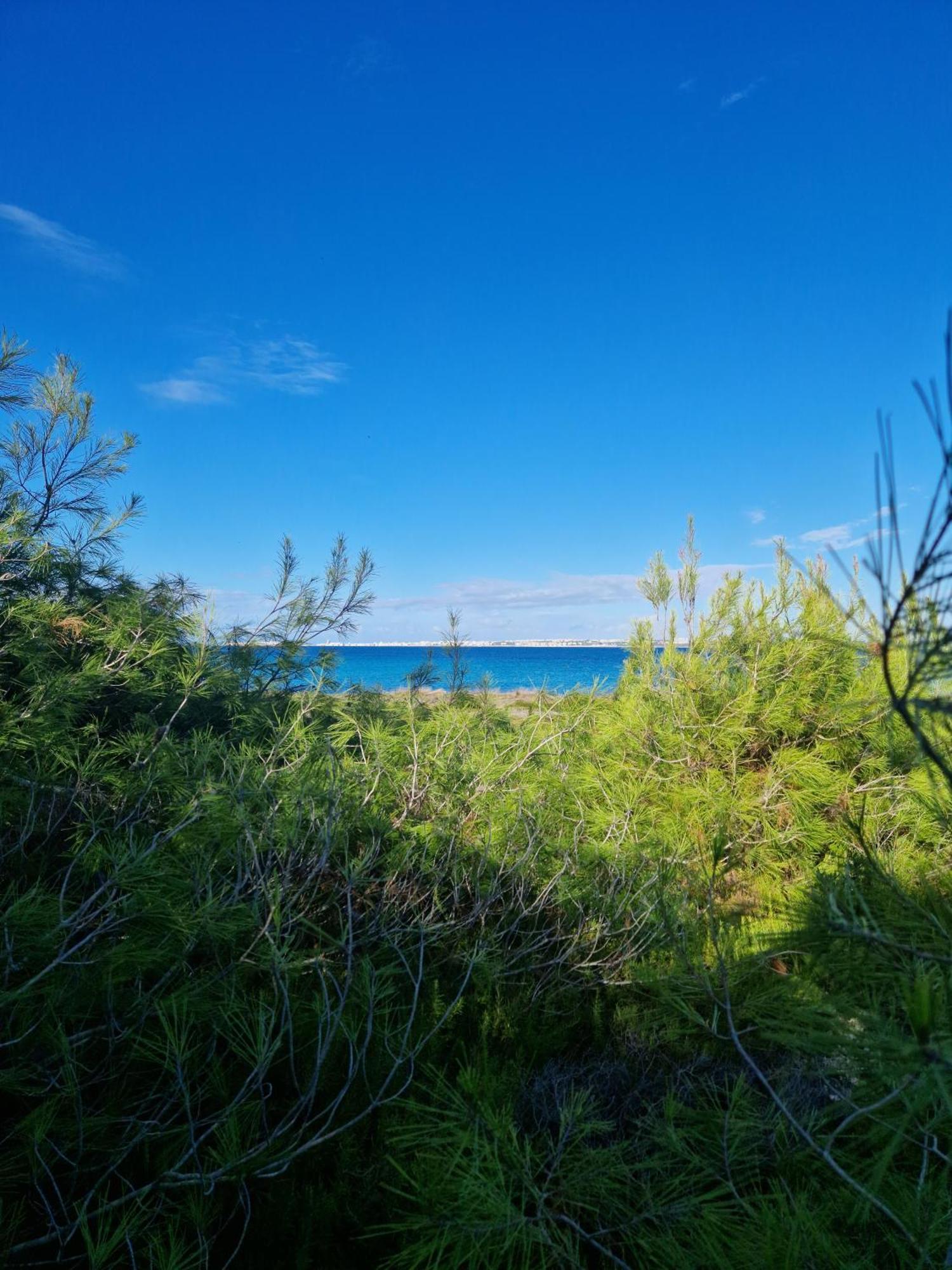 Villa Maria In Puglia Con Pineta Vicino Al Mare Torre Suda Dış mekan fotoğraf