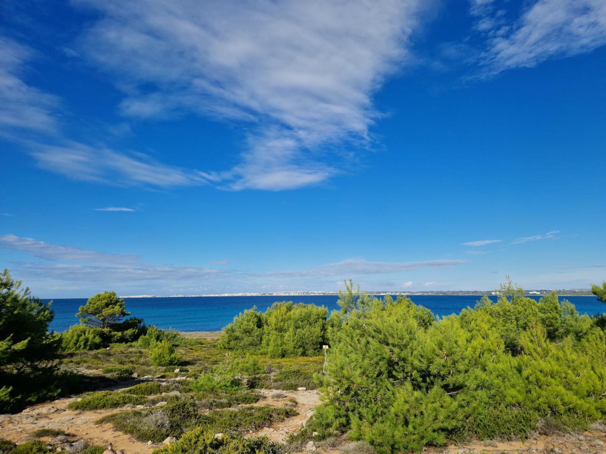 Villa Maria In Puglia Con Pineta Vicino Al Mare Torre Suda Dış mekan fotoğraf