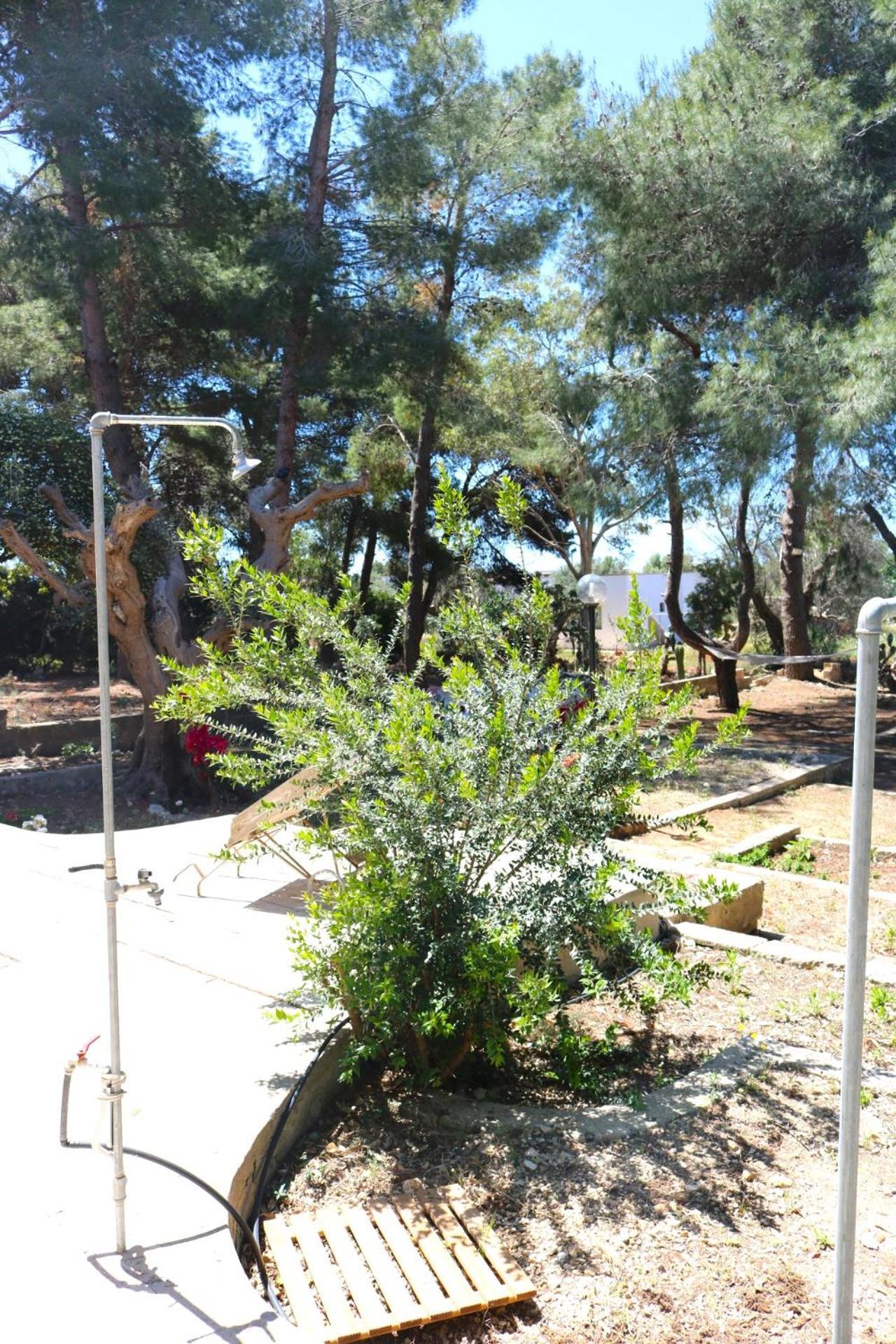 Villa Maria In Puglia Con Pineta Vicino Al Mare Torre Suda Dış mekan fotoğraf
