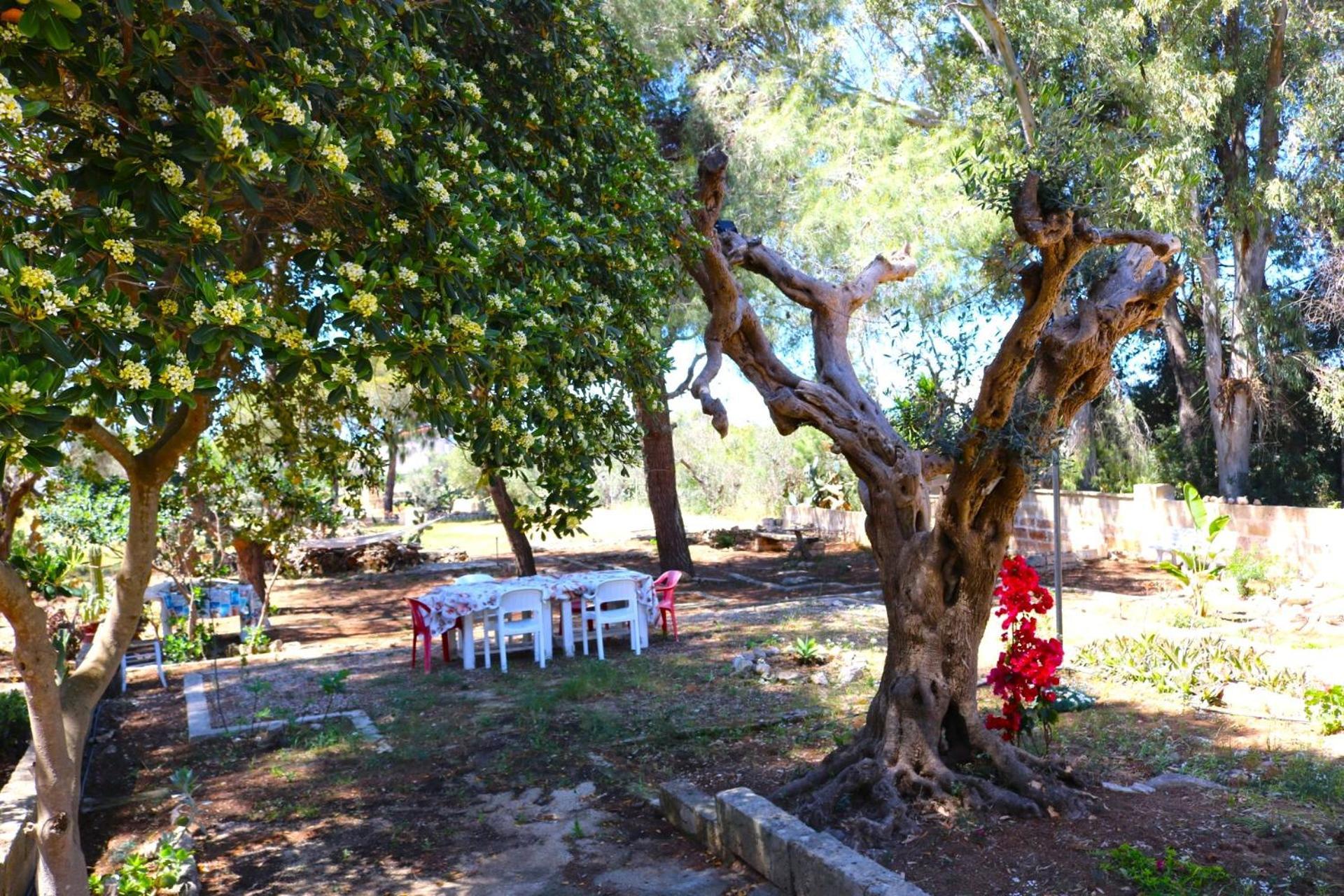 Villa Maria In Puglia Con Pineta Vicino Al Mare Torre Suda Dış mekan fotoğraf